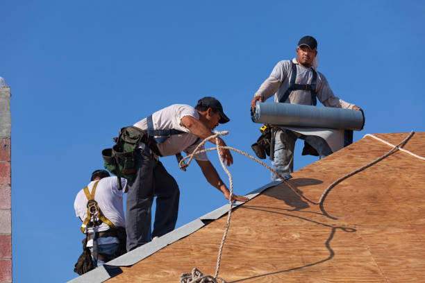 Roof Gutter Cleaning in Pecan Plantation, TX