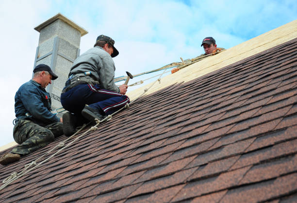 Quick and Trustworthy Emergency Roof Repair Services in Pecan Plantation, TX